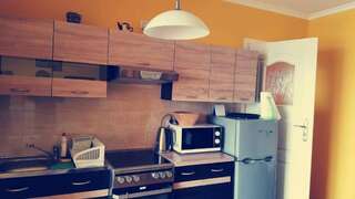 Апартаменты Apartament Sova Мендзыздрое Апартаменты-24